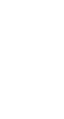 PYS- Podany Symb GmbH